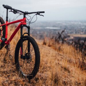 Red mountain bike on a grassy hill overlooking a cityscape.