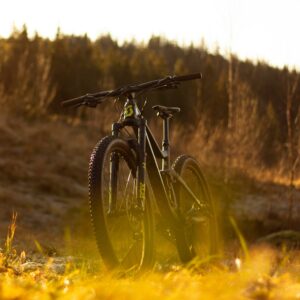 Mountain bike on a sunlit dirt path, with a blurred forest background and golden grass in the foreground.